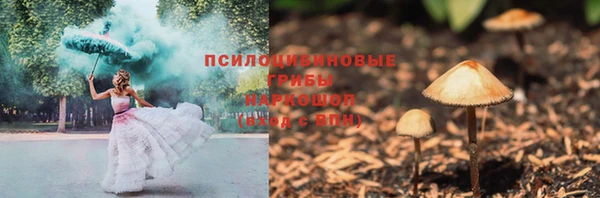 a pvp Алексеевка
